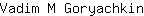 V***n