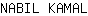 N***L