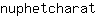 n***t