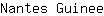 N***e