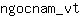 n***t