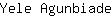Y***e