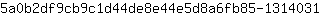5***1