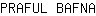 P***A