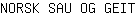 N***T