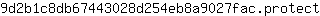9***t