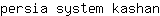 p***n