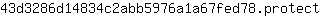 4***t