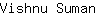 V***n