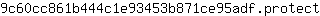 9***t