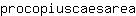 p***a