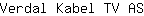 V***S