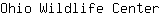 O***r