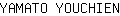 Y***N