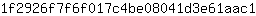 1***1