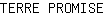 T***E