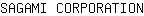 S***N