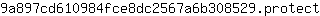 9***t