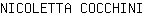N***I