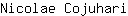 N***i