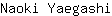 N***i
