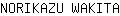 N***A