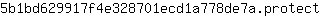 5***t