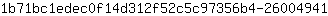 1***1