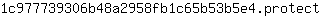 1***t