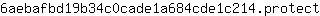 6***t