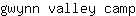 g***p
