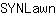 S***n