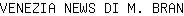 V***N