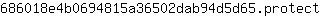 6***t