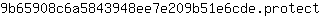 9***t