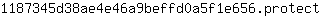 1***t