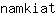 n***t