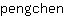 p***n
