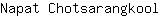 N***l