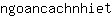 n***t