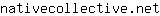 n***t