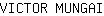 V***I