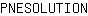 P***N
