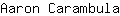 A***a