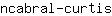 n***s