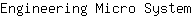 E***m