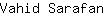 V***n