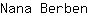 N***n