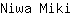 N***i