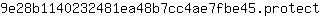 9***t